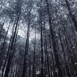 男生肌肌涌女生肌肌视频
