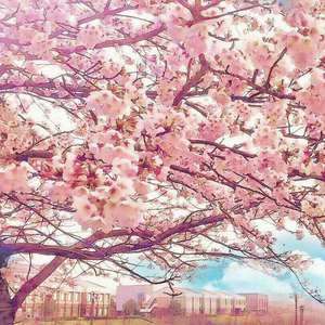 男生肌肌涌女生肌肌视频
